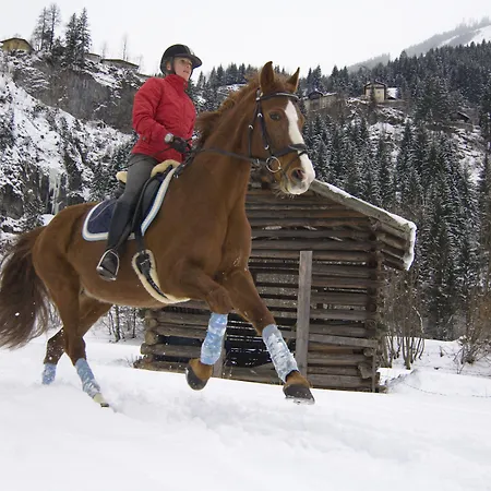 Hotel Euro Youth & Krone